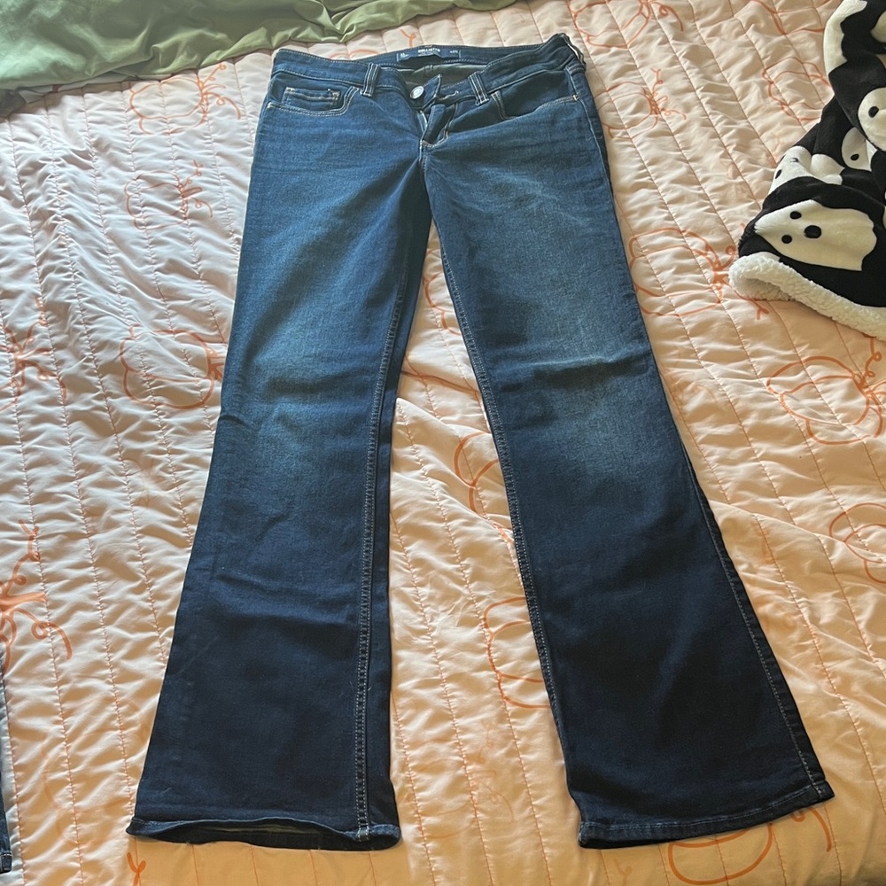 Hollister Dark Blue boot cut